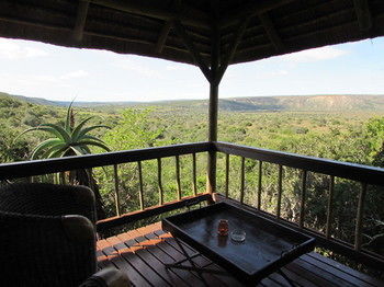Woodbury Lodge Amakhala Game Reserve Zewnętrze zdjęcie